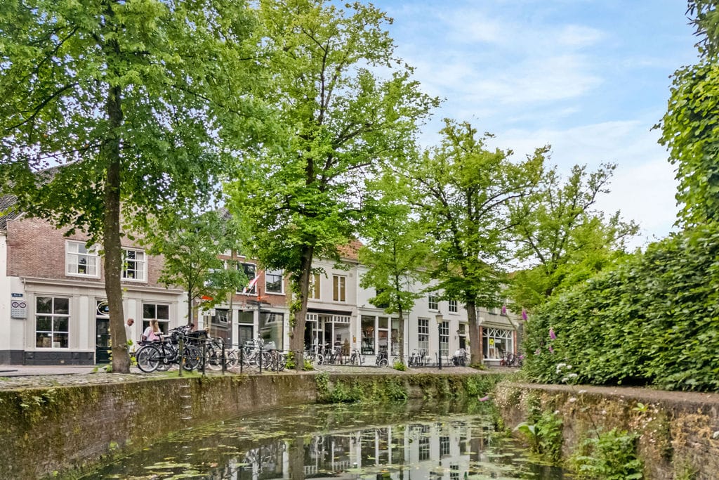 Foto 42 van Havik 41