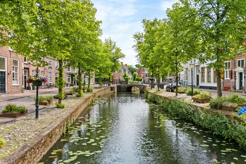 Foto 44 van Havik 41