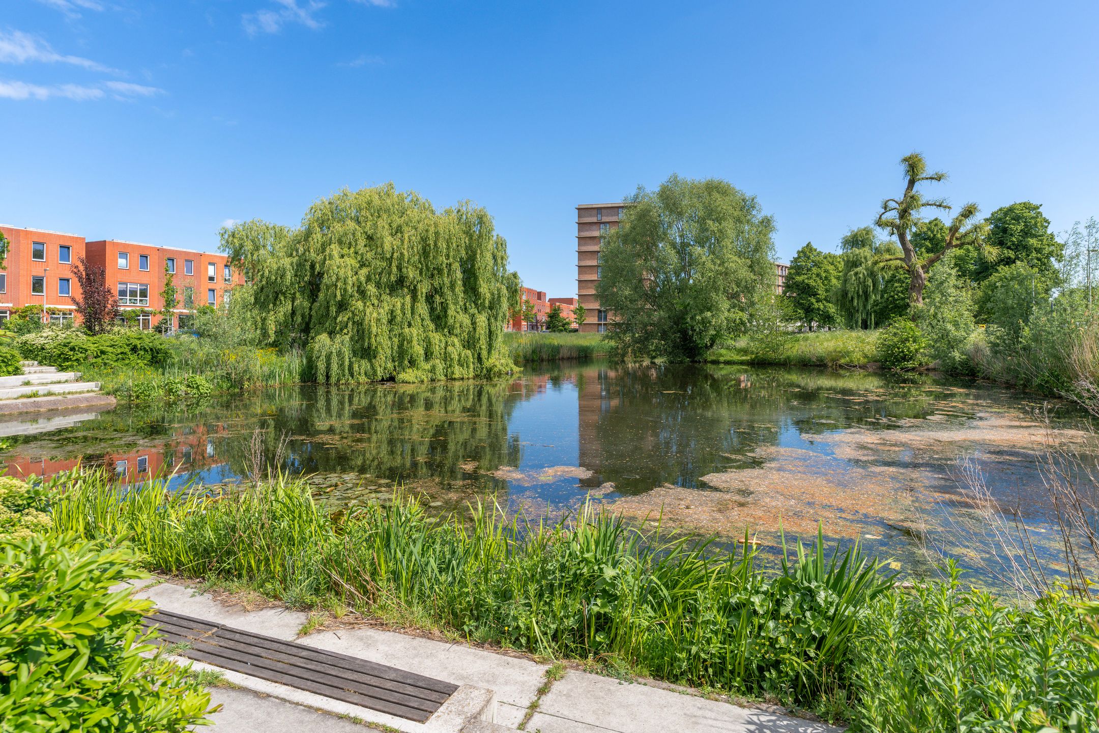 Foto 45 van Prinses Margrietstraat 136