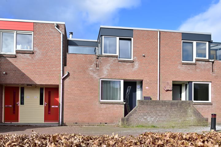 Foto 2 van Middenhof 304