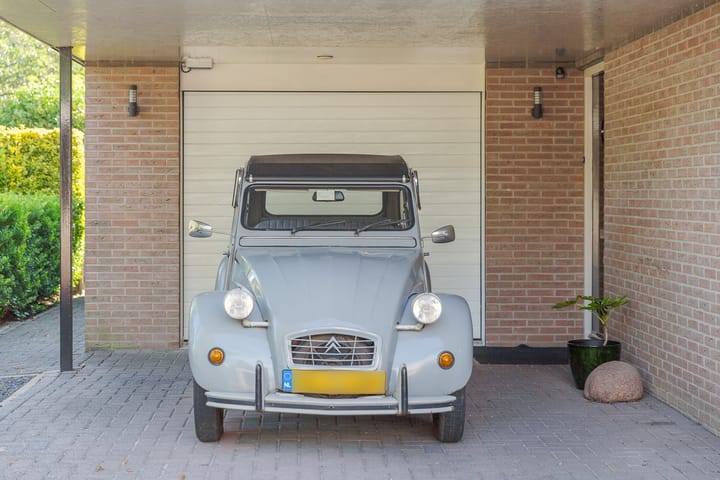 Foto 43 van Kalmoes 2