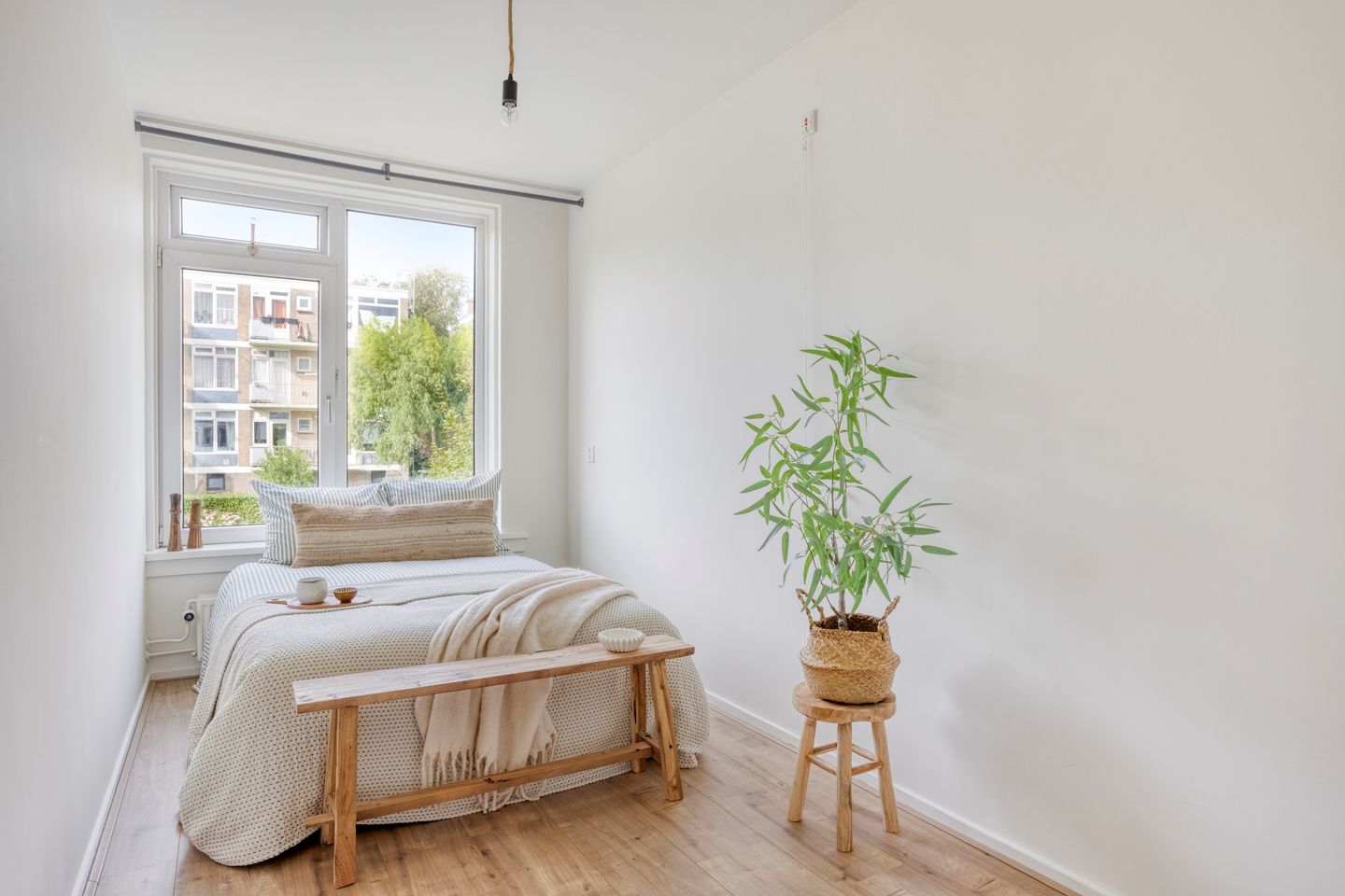 Foto 19 van Scholtenstraat 9