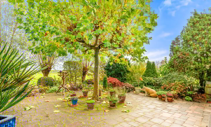 Photo 39 of Lagedijk 3