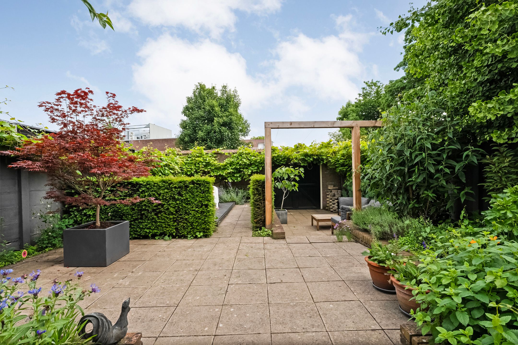 Foto 45 van Rhijnvis Feithlaan 8