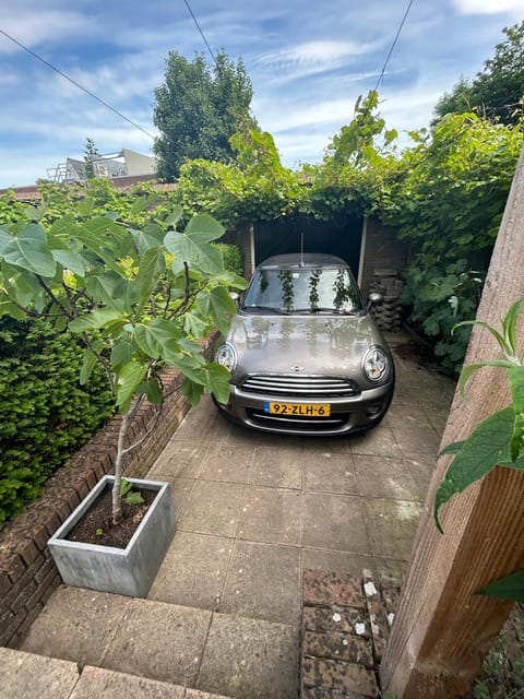 Foto 51 van Rhijnvis Feithlaan 8