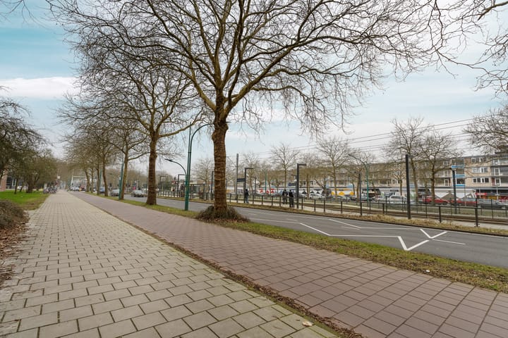 Foto 36 van Kastelenstraat 297-3