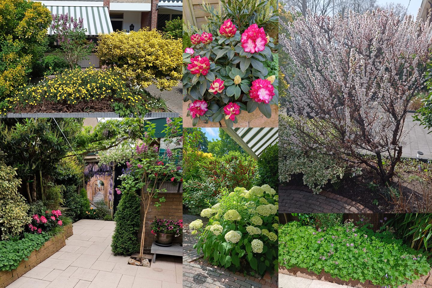 Foto 35 van Patrijslaan 44