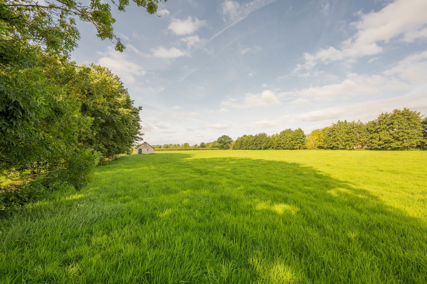 Foto 5 van Leemweg 27