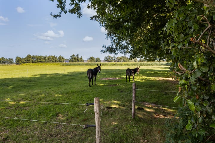 Foto 43 van Riebroekseweg 35