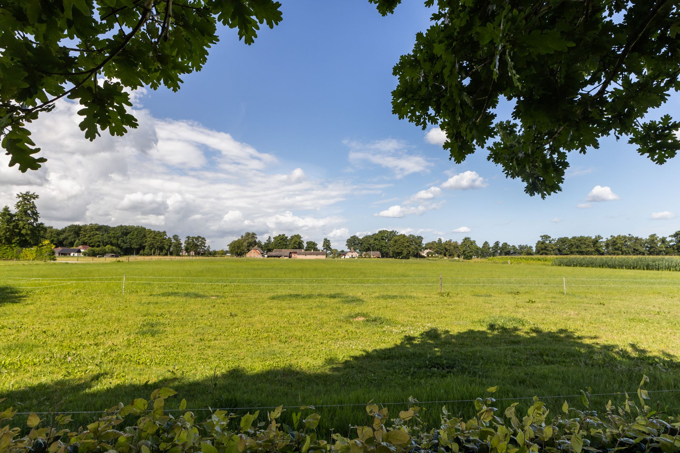 Foto 51 van Riebroekseweg 35