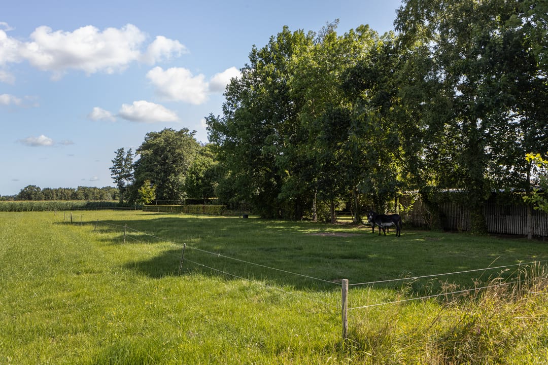 Foto 52 van Riebroekseweg 35