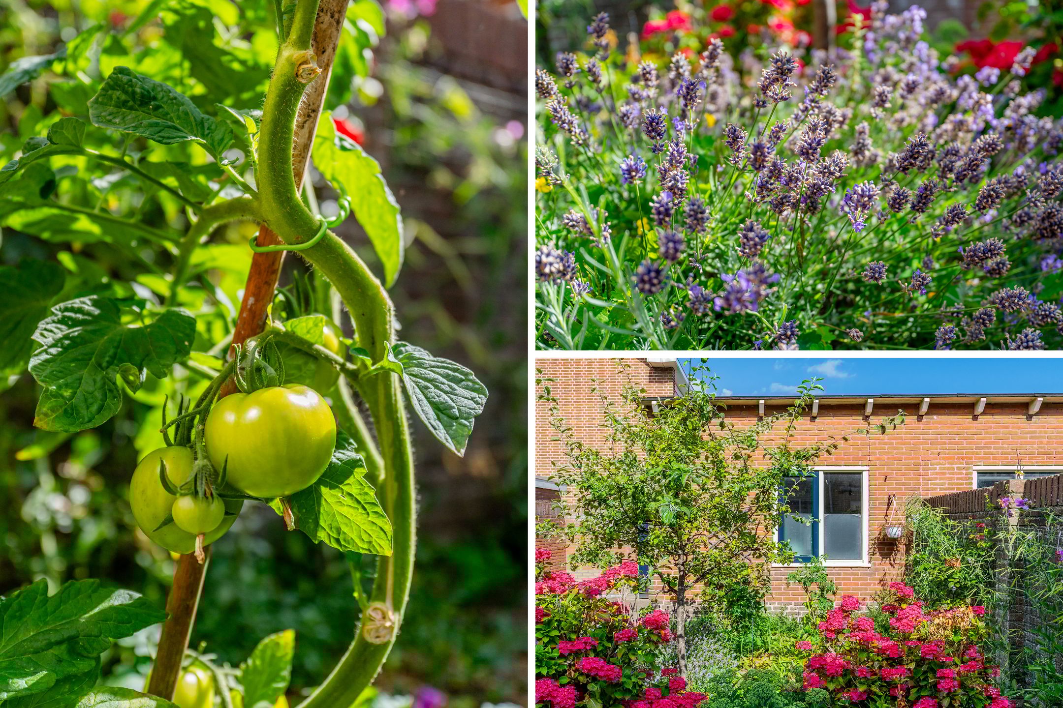 Foto 42 van Oranje Nassaustraat 39