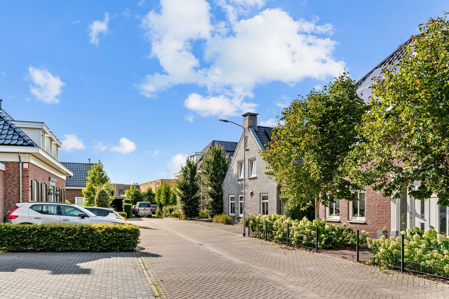 Foto 4 van Bruine Vuurvlinder 10