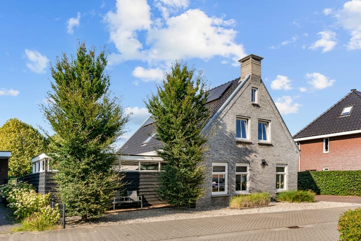 Foto 5 van Bruine Vuurvlinder 10