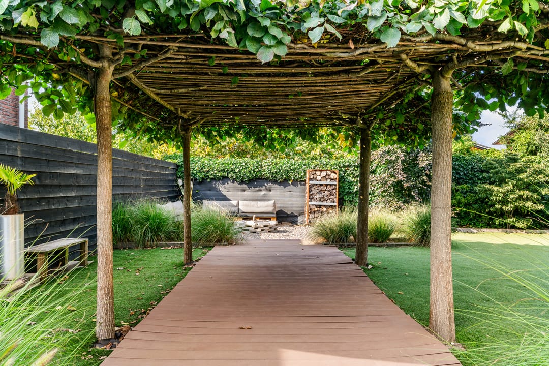 Foto 46 van Bruine Vuurvlinder 10