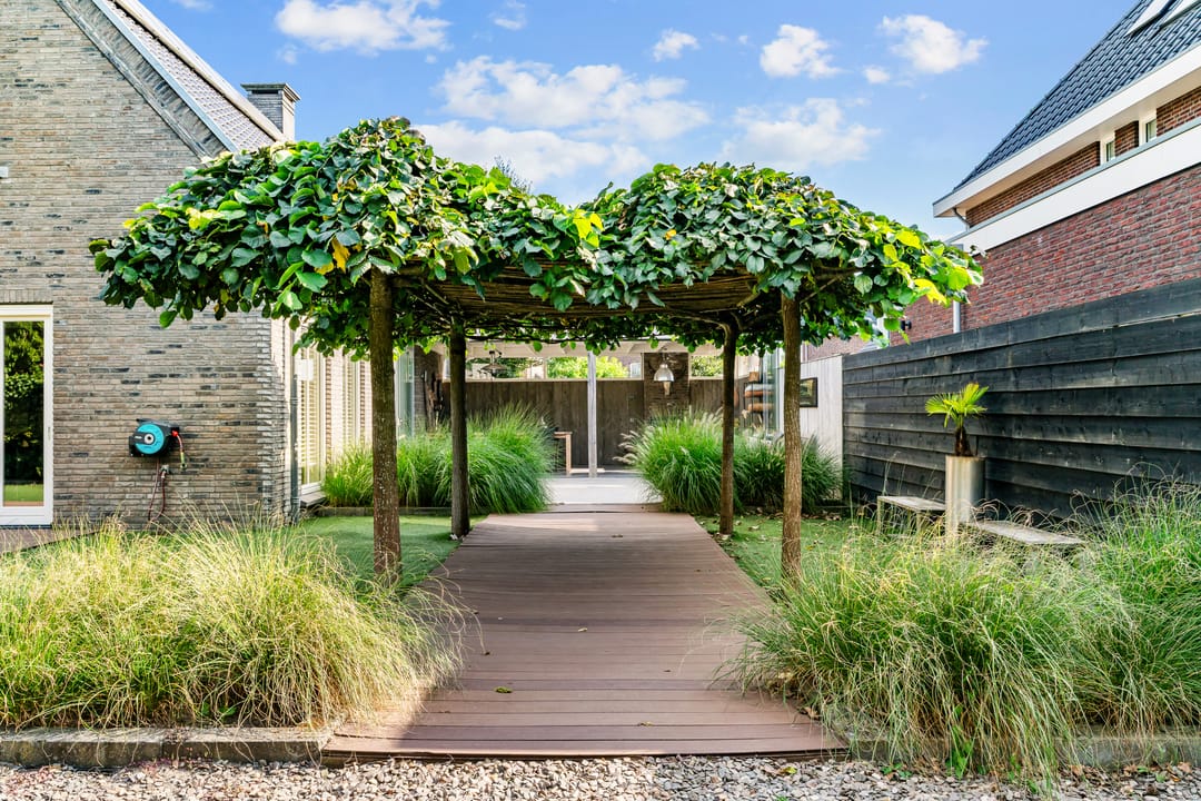 Foto 52 van Bruine Vuurvlinder 10