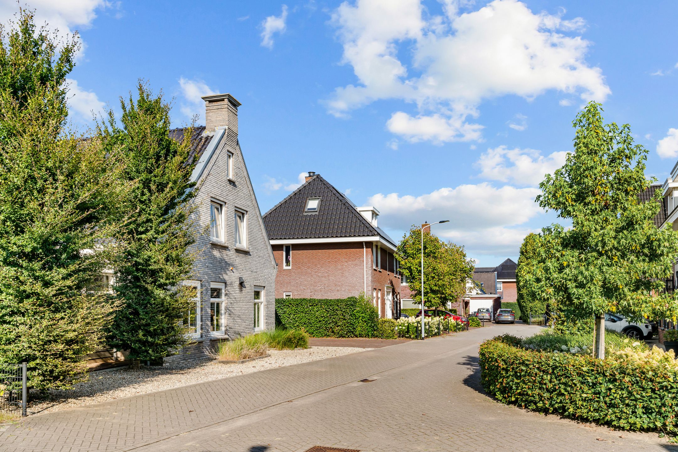 Foto 57 van Bruine Vuurvlinder 10