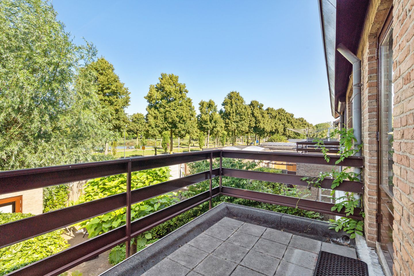 Foto 25 van Sirius 48