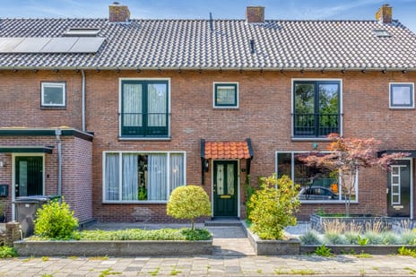 undefined main image