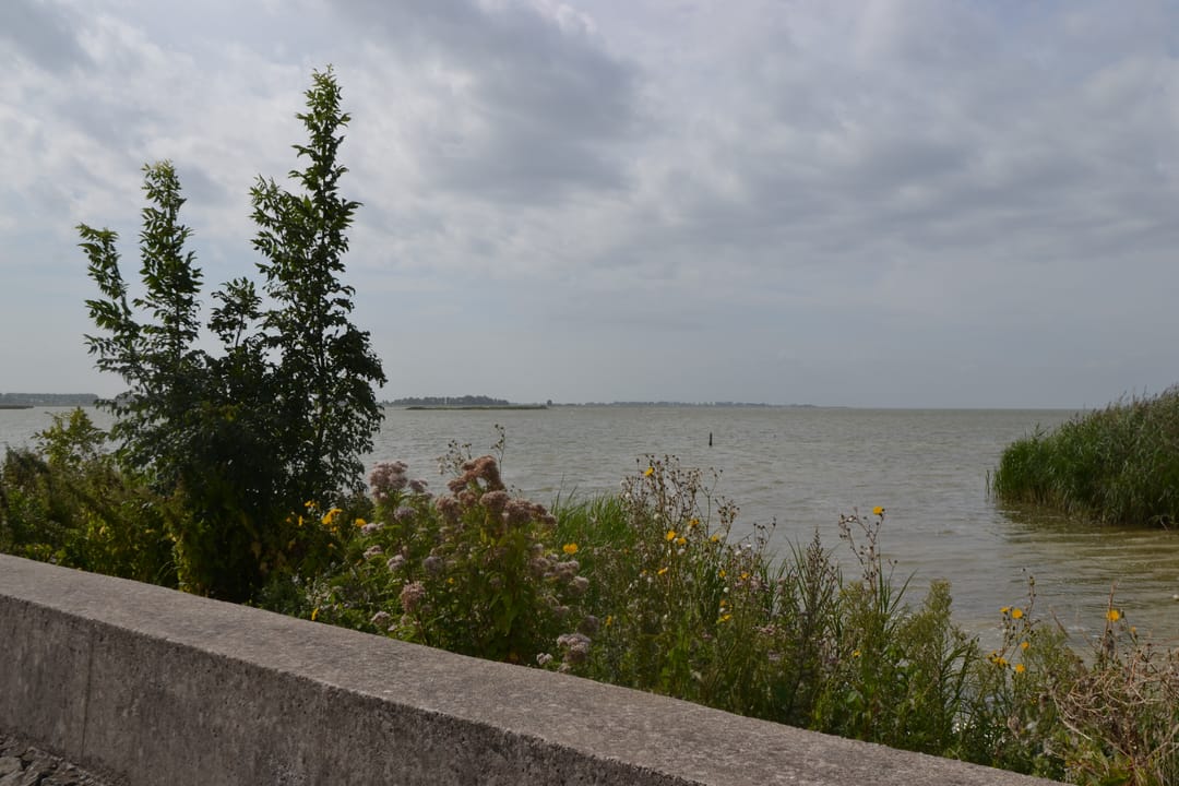 Photo 26 of Schuilenburg 2-302