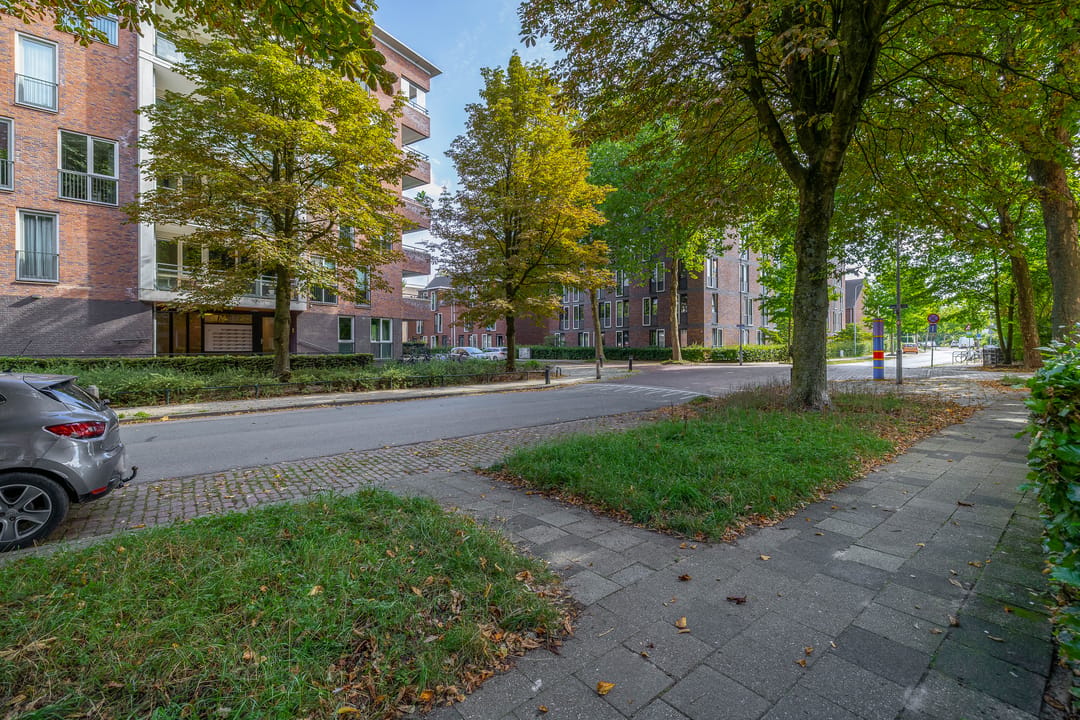 Foto 32 van Dolderstraat 42-A