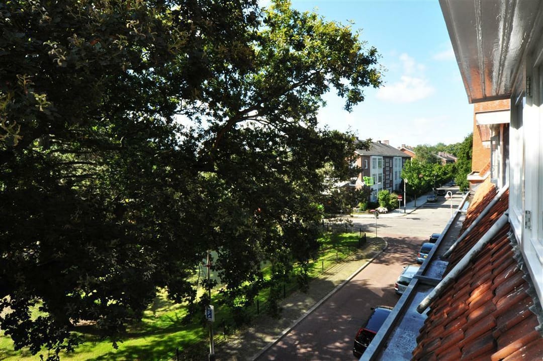 Foto 32 van Ridderlaan 16