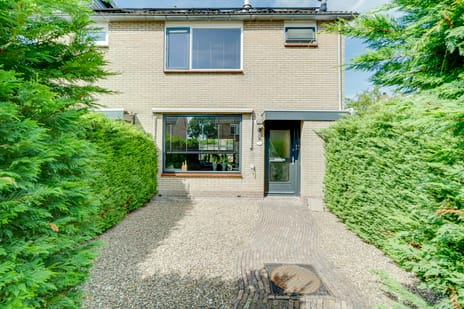 undefined main image