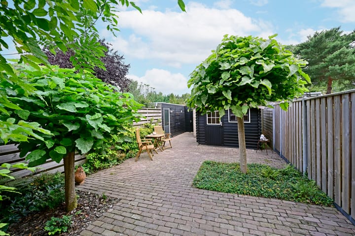 Foto 21 van Winde 102