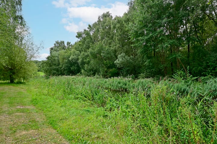 Foto 29 van Winde 102