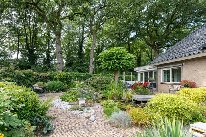 Foto 3 van Borgerbrink 50