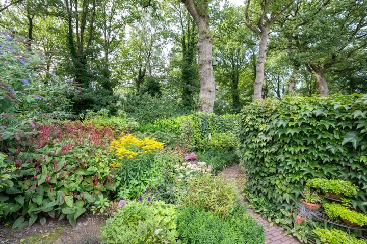 Foto 34 van Borgerbrink 50