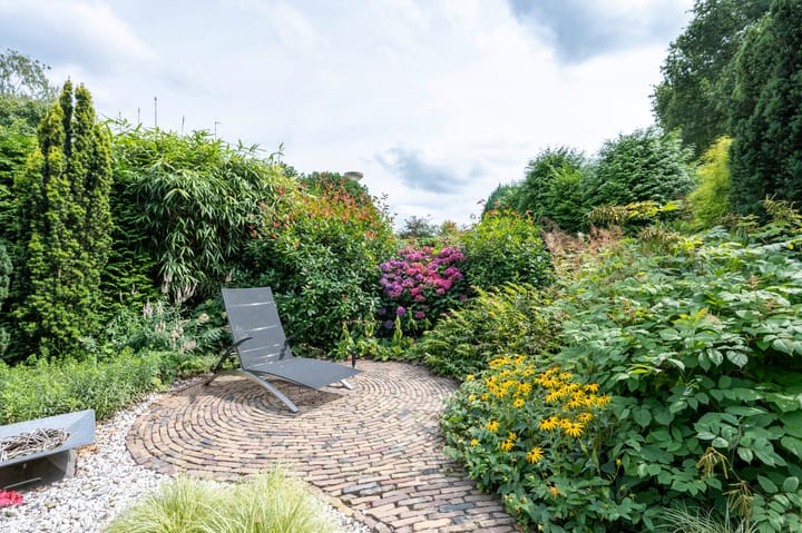 Foto 36 van Borgerbrink 50