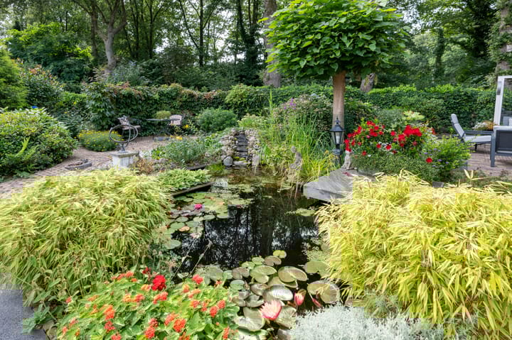 Foto 37 van Borgerbrink 50