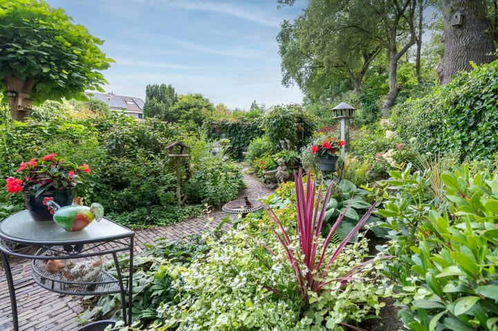 Foto 40 van Borgerbrink 50