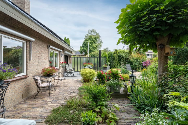 Foto 42 van Borgerbrink 50