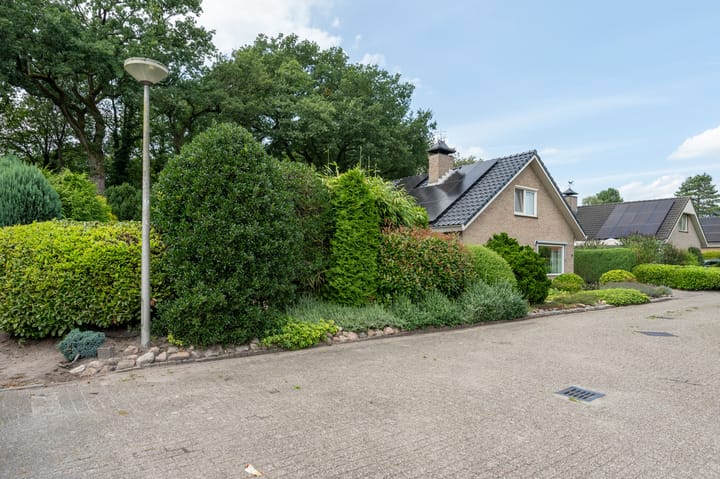 Foto 46 van Borgerbrink 50