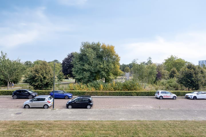 Foto 13 van Albardastraat 144