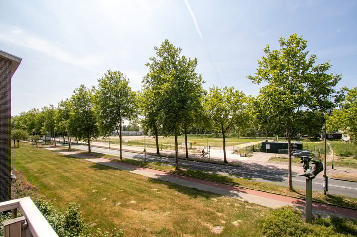 Foto 12 van Wolvenlaan 251