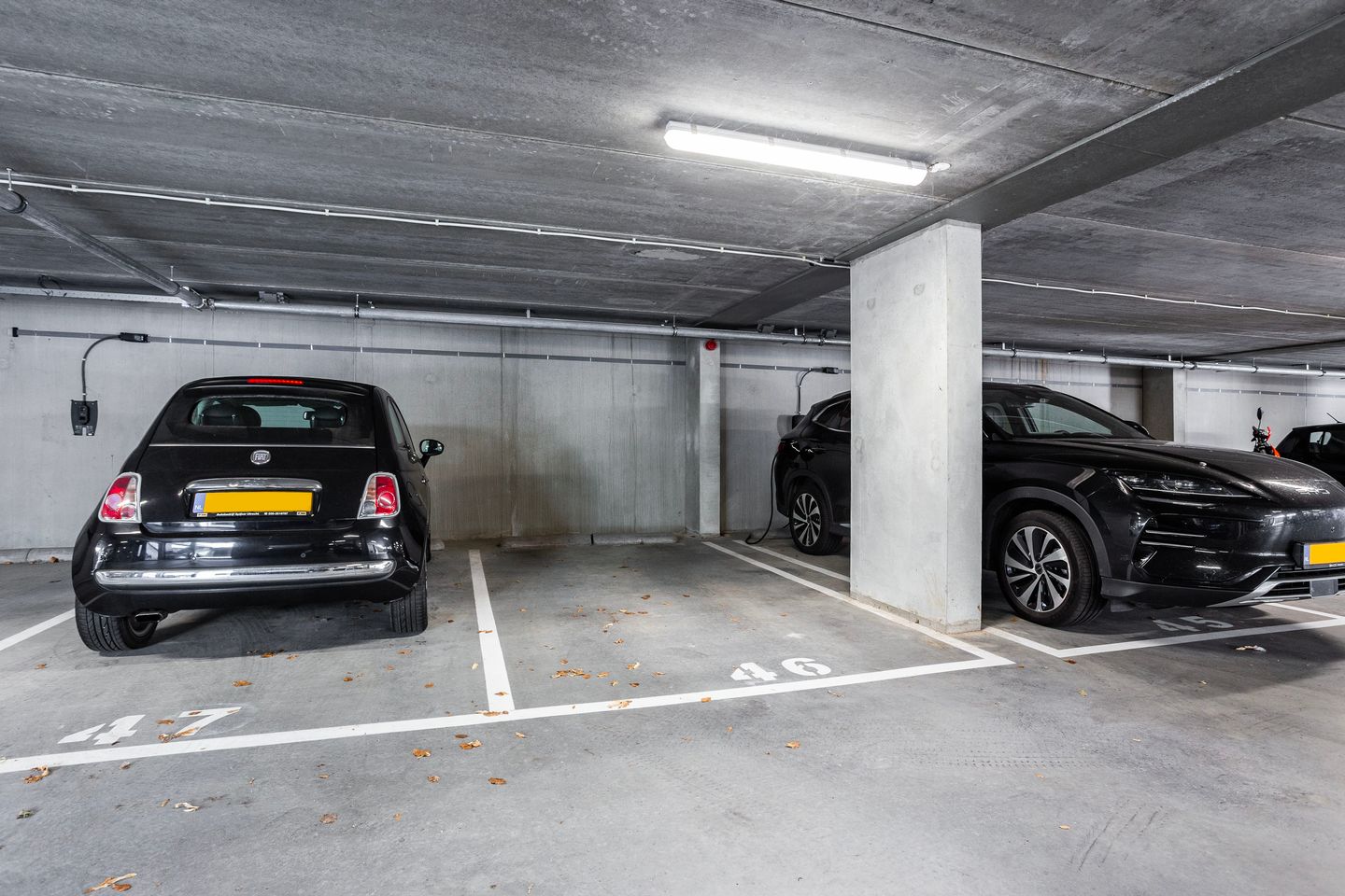 Foto 29 van Eerste Muntmeesterslaan 59