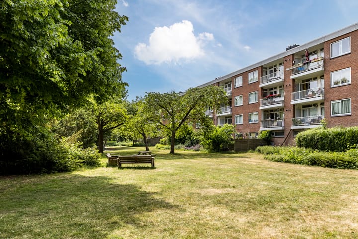 Foto 1 van Wedderborg 22