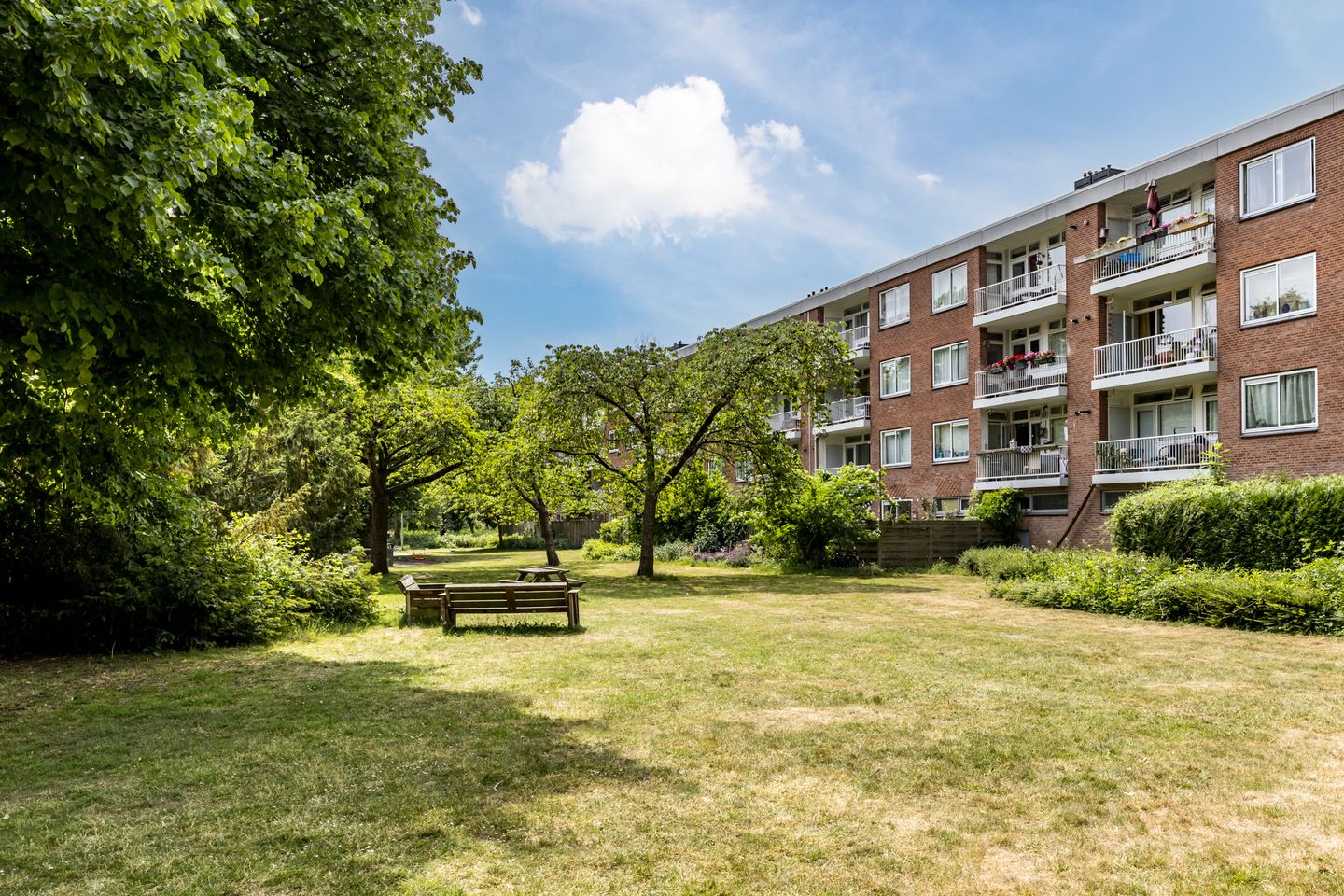 Foto 1 van Wedderborg 22