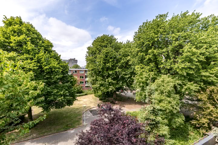 Foto 3 van Wedderborg 22