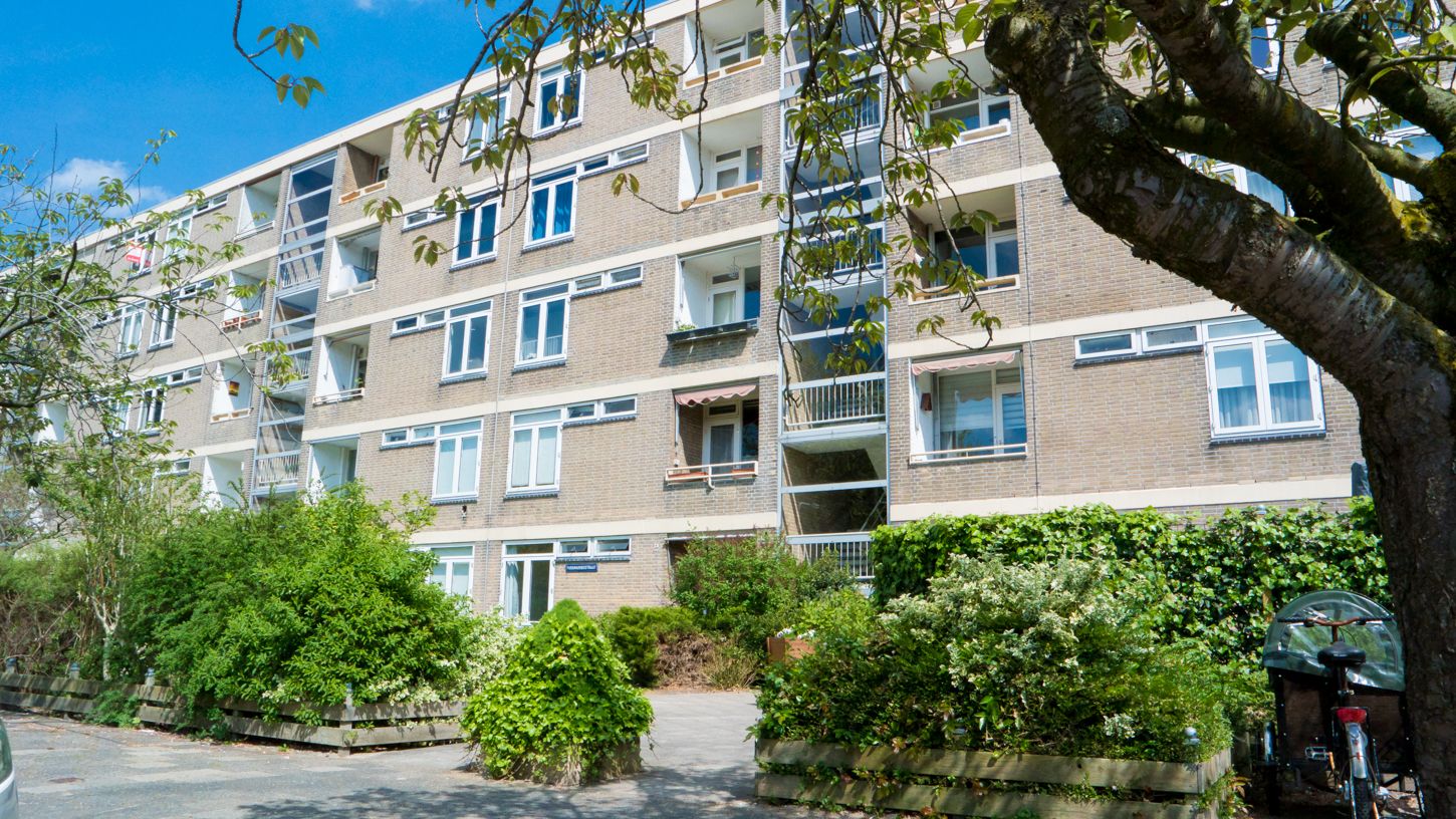 Paramaribostraat, 139, Leiden, 2315VH, Zuid-Holland, Nederland 139 