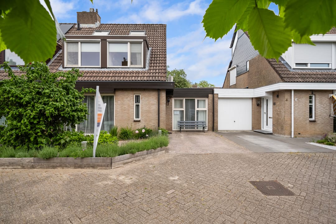 Foto 7 van Ooievaar 6