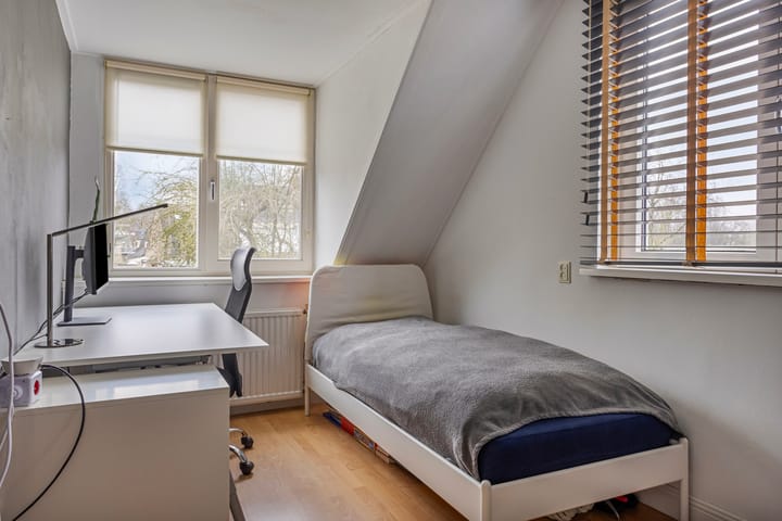 Photo 20 of Ooievaar 6