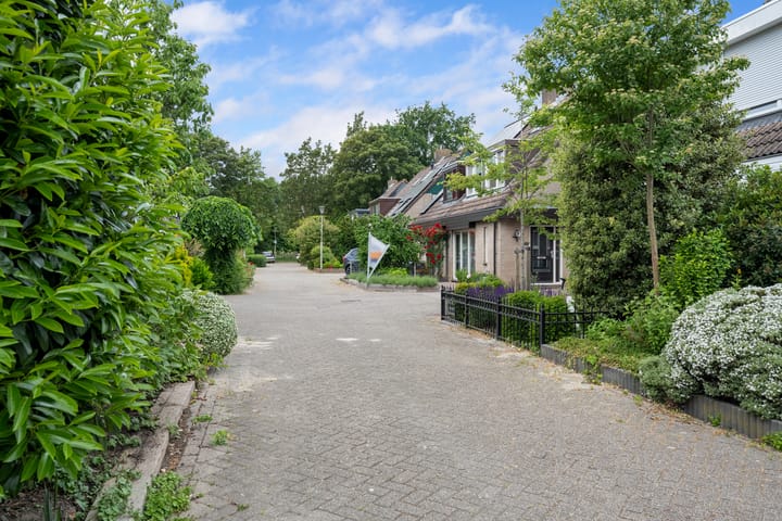 Photo 36 of Ooievaar 6