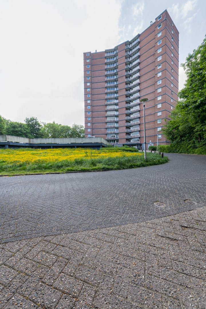 Foto 1 van Drieoortsput 38