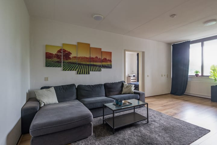 Foto 7 van Drieoortsput 38