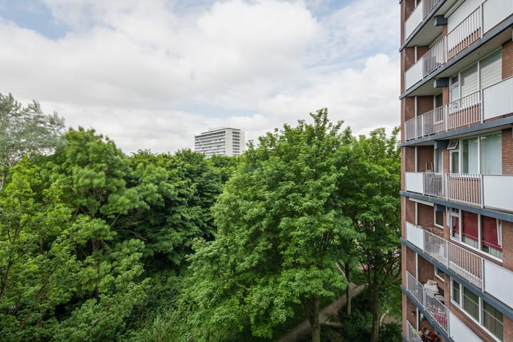 Foto 18 van Drieoortsput 38