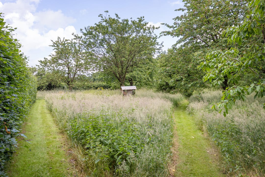 Foto 61 van Haarloseweg 4